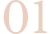 Home 01 free img