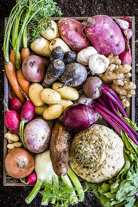 healthy food: organic roots, legumes and tubers still life.
