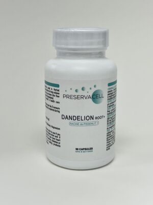 dandelion